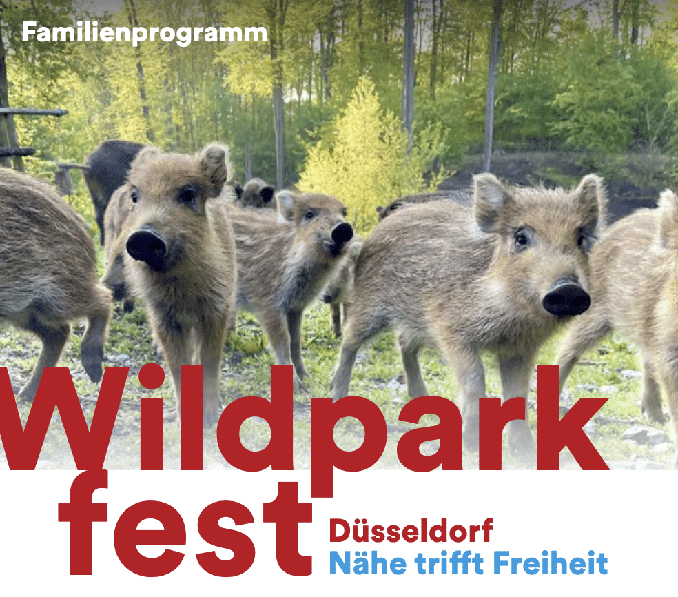 Natur zum Anfassen und Infos zur Klimaanpassung beim Wildparkfest am 17. September