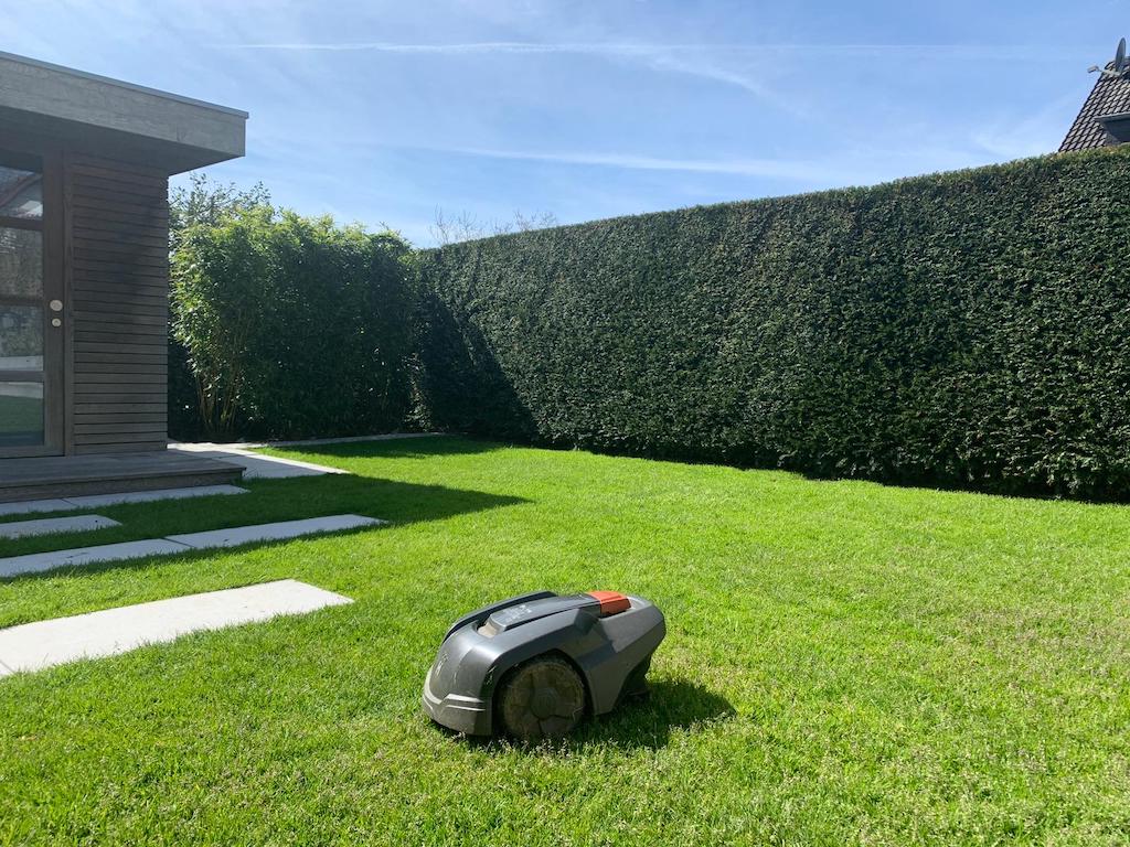 Mähroboter können Tiere in Gefahr bringen