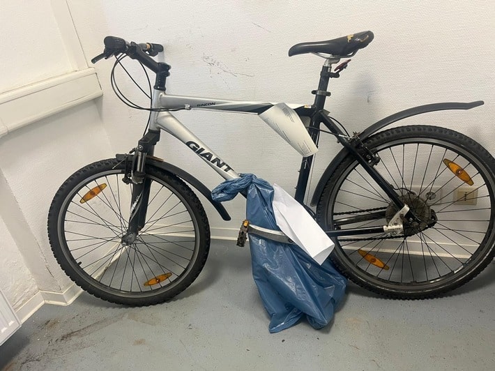 Bundespolizisten stellen Fahrraddieb