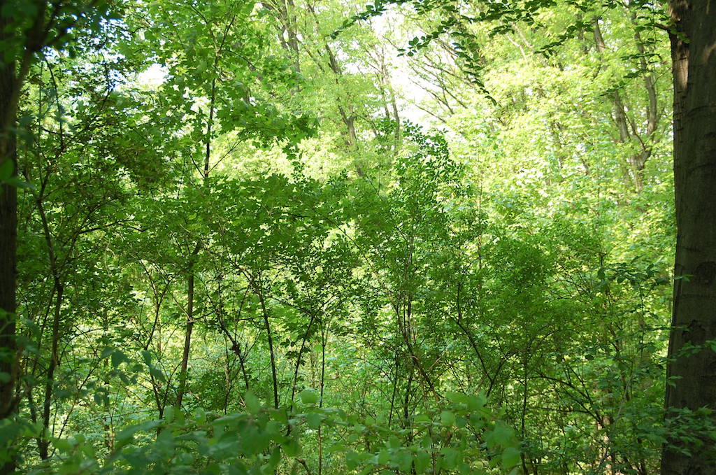 Symbolbild: Touren durch die Natur © Lokalbüro
