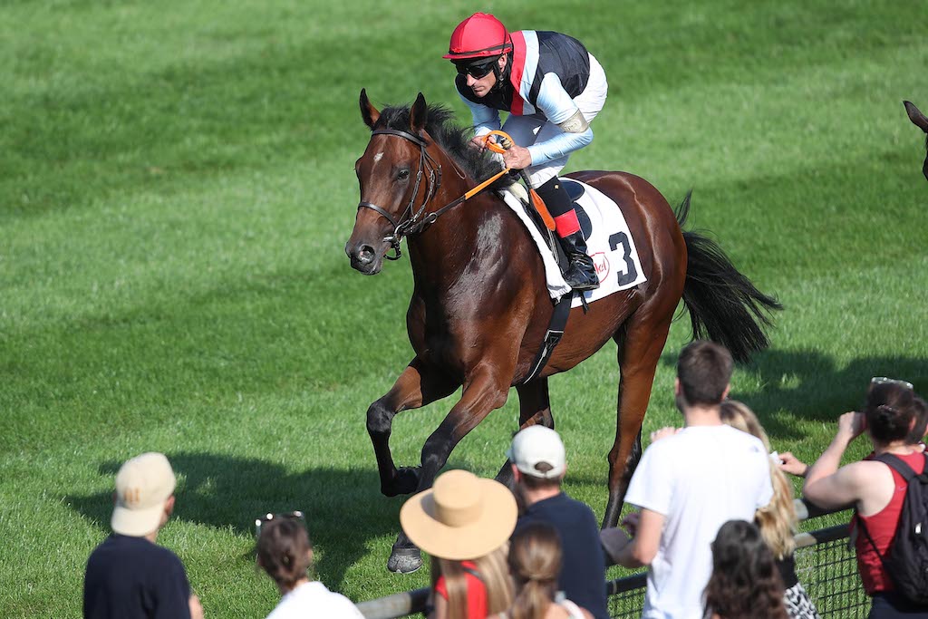 Leckerbissen in Hülle und Fülle beim ersten Gourmet-Renntag auf der Galopprennbahn Düsseldorf