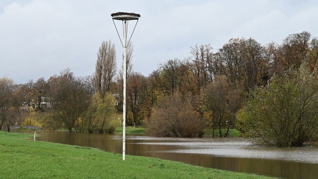 Neues Zuhause für Störche im Wasserschutzgebiet in Wittlaer