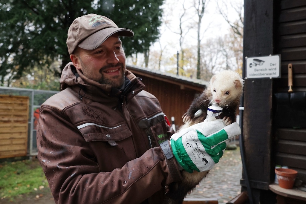 Impfungen für die Tiere im Wildpark