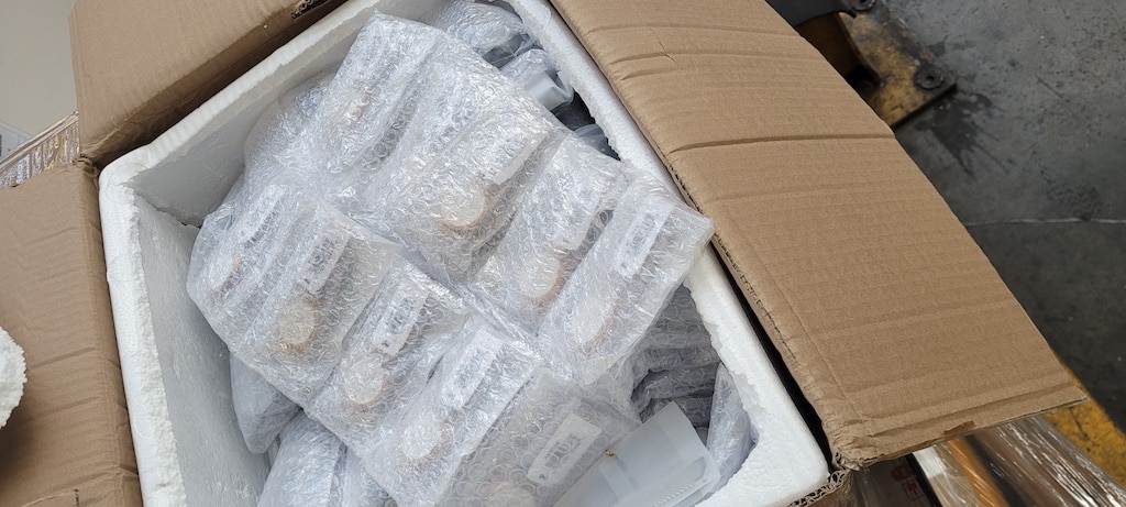 Zoll Düsseldorf stellt mehr als 1.300 gefälschte Uhren sicher