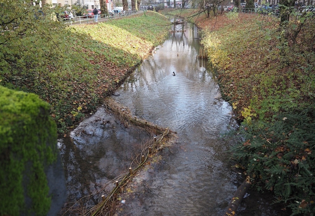 Ökologische Aufwertung der Inneren Südlichen Düssel
