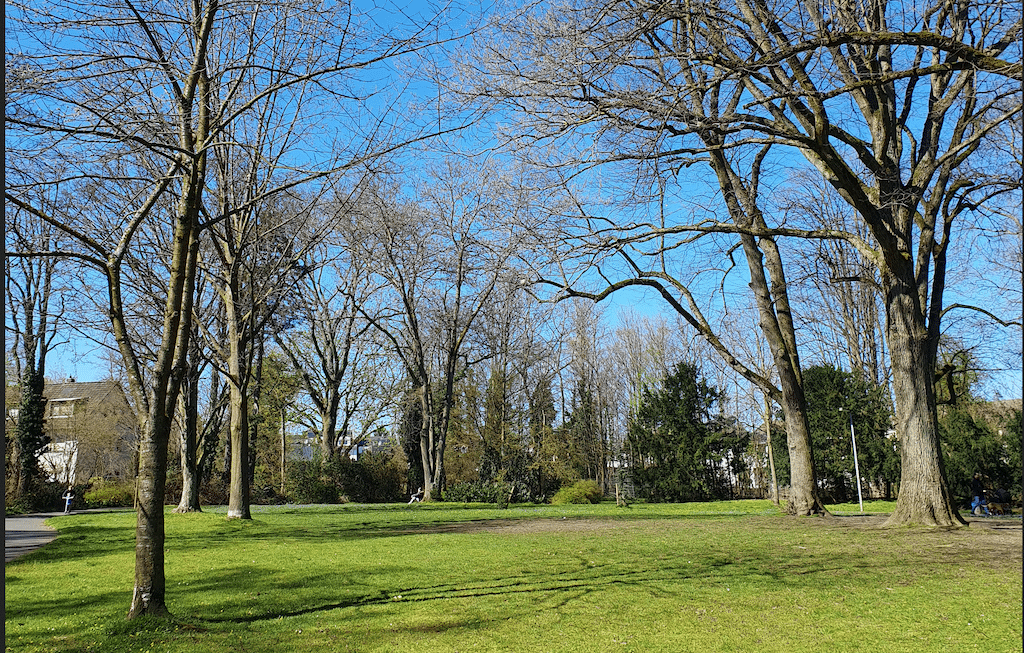 Klimaanpassung und Biodiversität: Stadt baut Grünanlage in Gerresheim um
