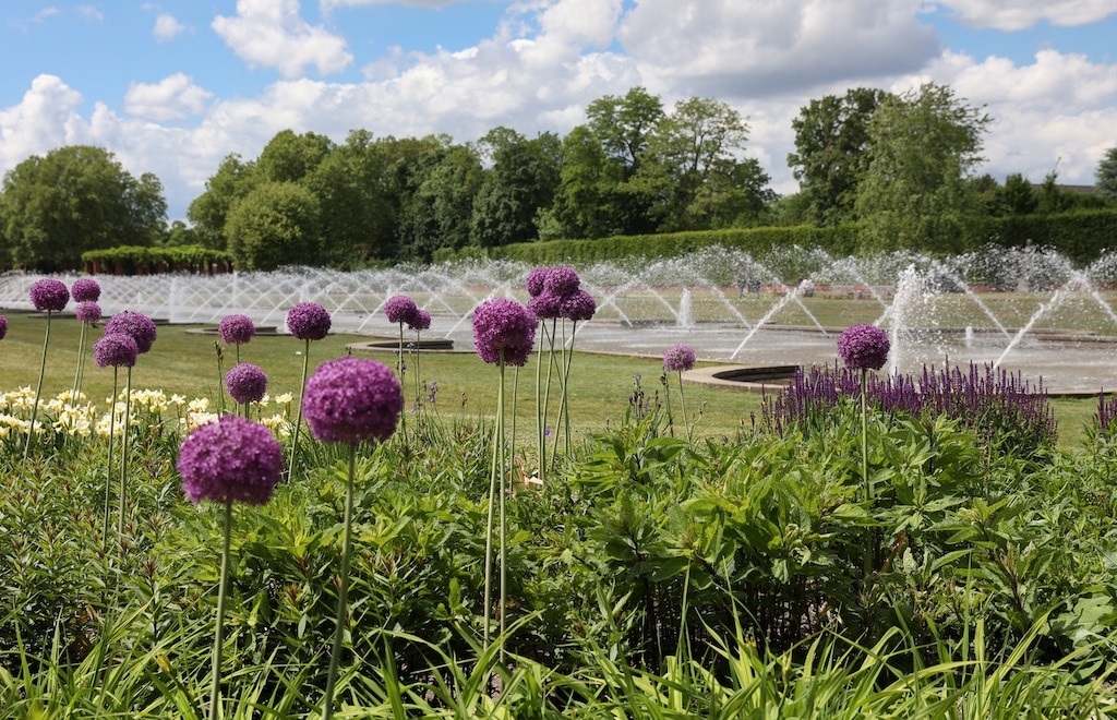 Grünordnungsrahmenplan für den Stadtbezirk 5 wird vorgestellt
