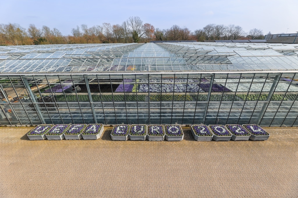 Frühlingsblütenzauber erobert Düsseldorfs Parks und Plätze: UEFA EURO 2024 Blumenschriftzug am Graf-Adolf-Platz