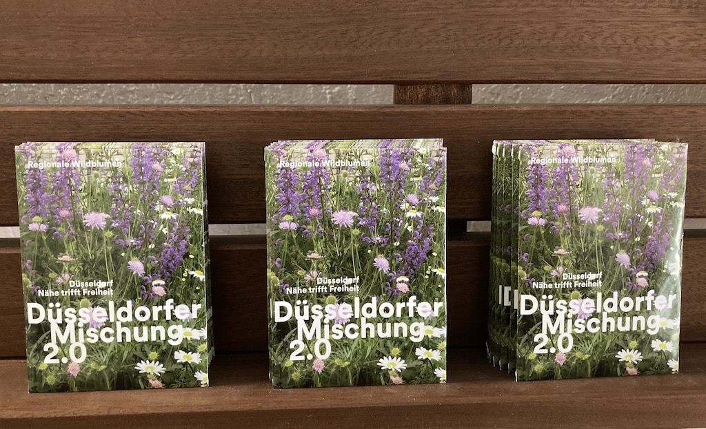 Die Stadt verschenkt Wildblumensamen “Düsseldorfer Mischung 2.0” – und sucht Baumpaten