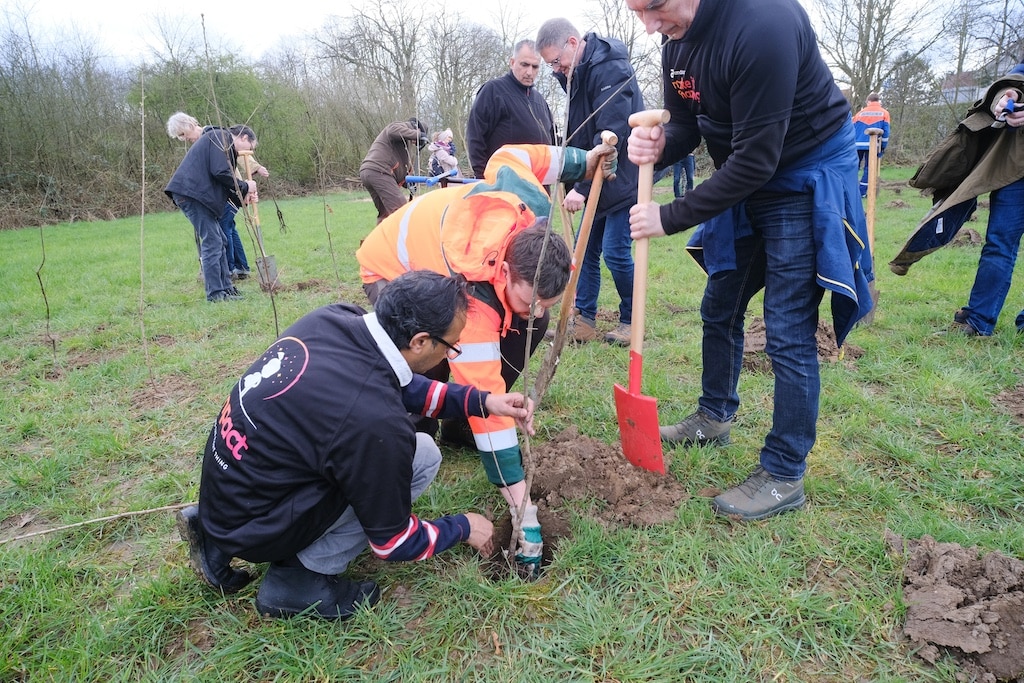 Bürgerinnen und Bürger haben ein neues Waldstück im Norden der Stadt gepflanzt