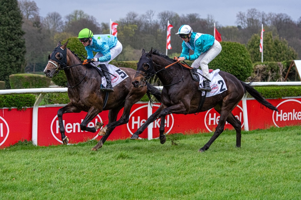 Padre Palou triumphiert im Preis der Fortuna beim Düsseldorfer Saisonauftakt
