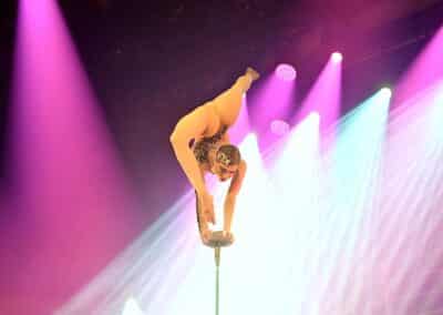 Apollo Traumschiff auf einer Reise rund um die Welt. Foto: LOKALBÜRO