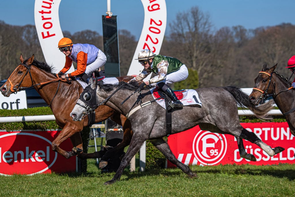 Henkel-Stutenpreis mit Familienprogramm lockt Pferde-Liebhaber nach Düsseldorf