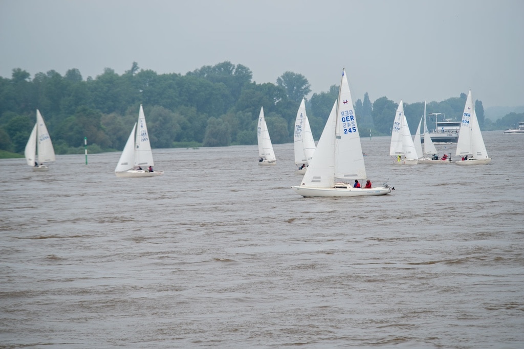 Rheinwoche 2024: Traditionelle Regatta zu Pfingsten auf dem Rhein