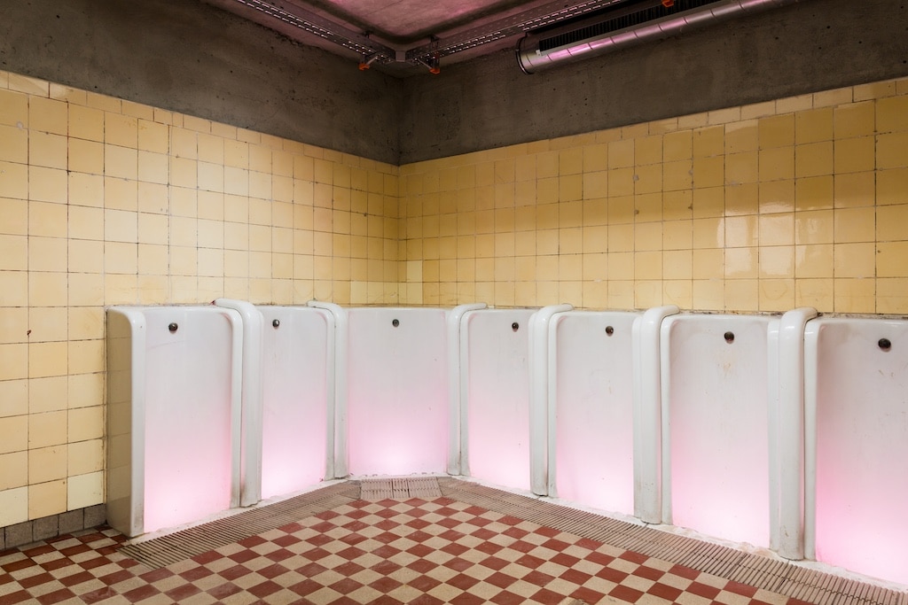 Wiedereröffnung des reinraum