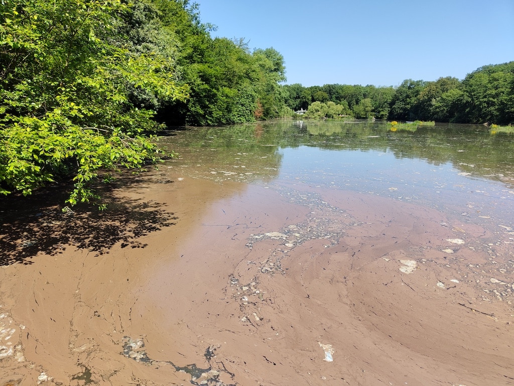 Blaualgen im Zamek-See