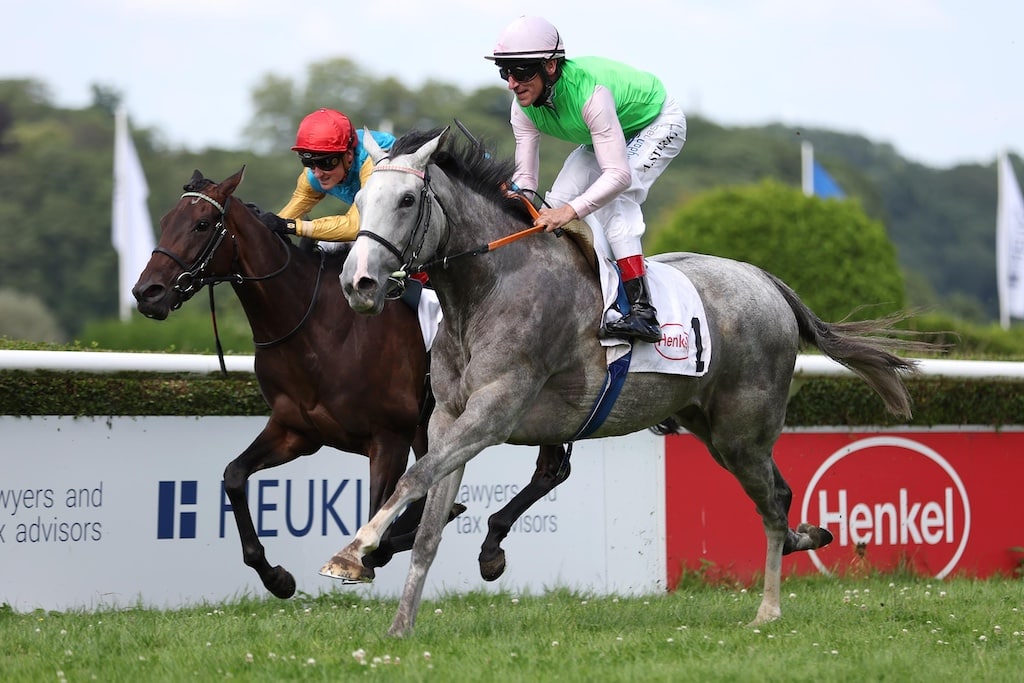 Ashana triumphiert im HEUKING Diana-Trial in Düsseldorf