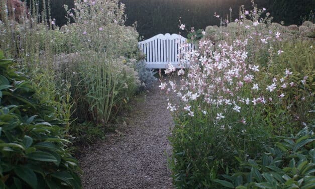 Letzte Gartenpforte des Jahres öffnet in Düsseldorf