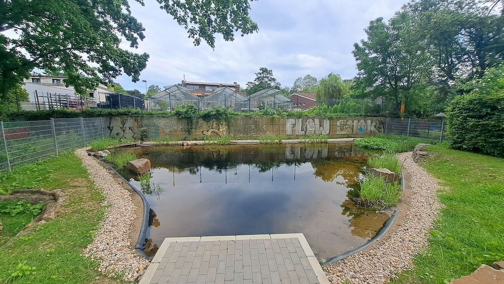 Artenreichtum auf dem Schulgelände: Stadt legt neuen Teich an der Hulda-Pankok-Gesamtschule an