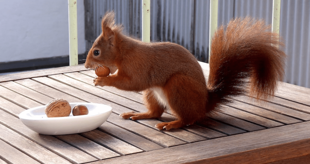 Fotowettbewerb “Unsere Heimat Nordrhein-Westfalen”: Naturfotos gesucht