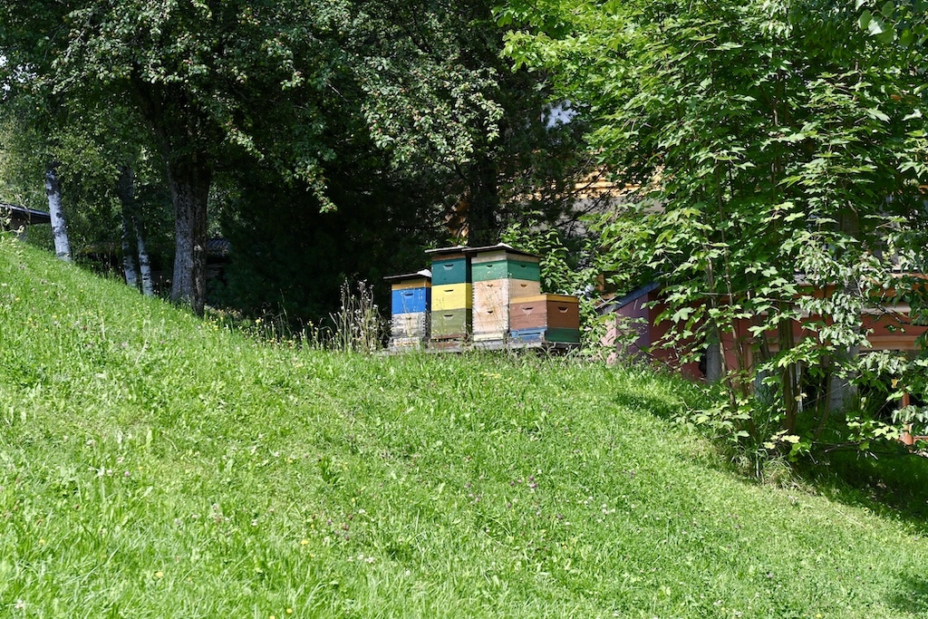 Filzmoos im Salzburger Land Foto: LOKALBÜRO