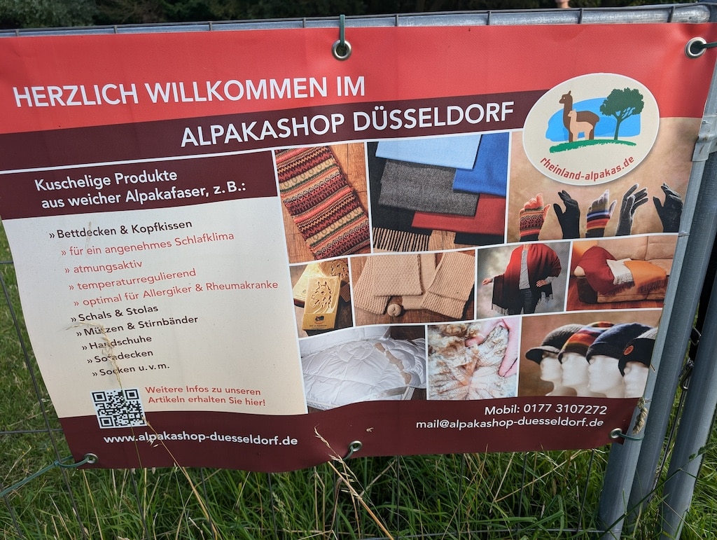 Die Alpakas aus dem Düsseldorfer Norden