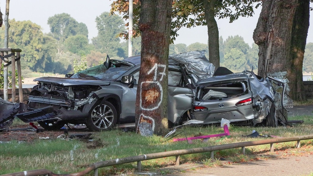 Schwerer Verkehrsunfall nach Flucht vor Polizeikontrolle — Beifahrerin stirbt an Unfallstelle