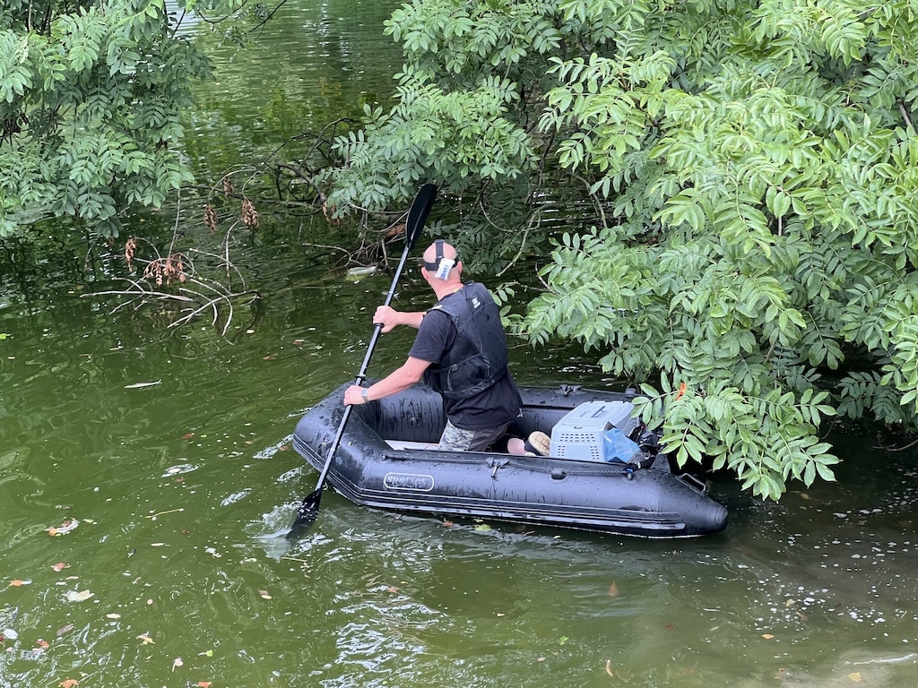 Dutzend tote Enten im Düsseldorfer Hofgarten entdeckt – Vorsicht für Hundebesitzer geboten