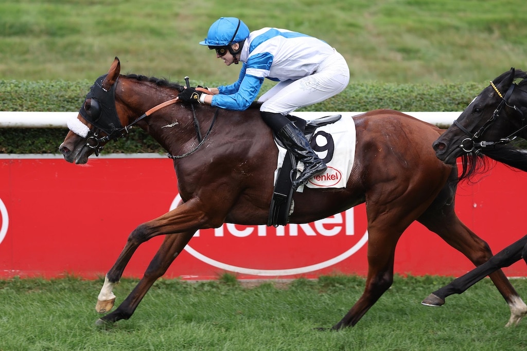 Tulpar fliegt zum Triumph in Düsseldorf – Erfolgreicher Gourmet-Renntag auf dem Grafenberg