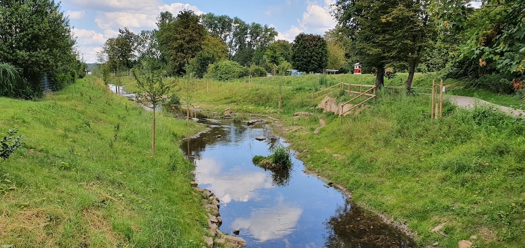 Öffentliche Gewässerschau an der Südlichen Düssel
