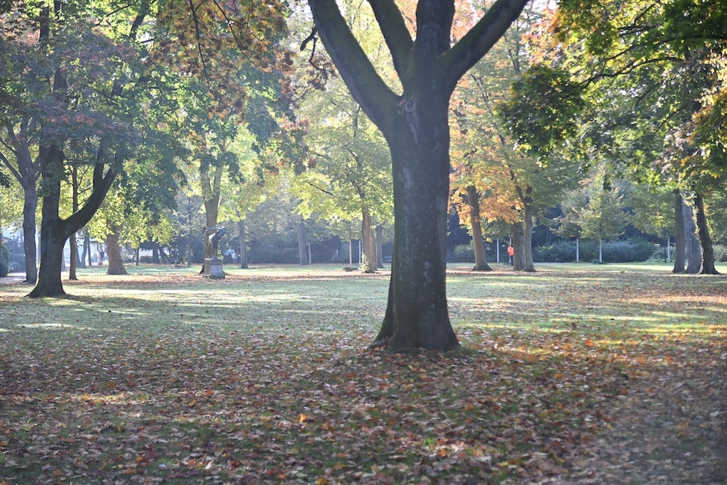 “Unterwegs im Grünen”: Führungen am ersten November-Wochenende