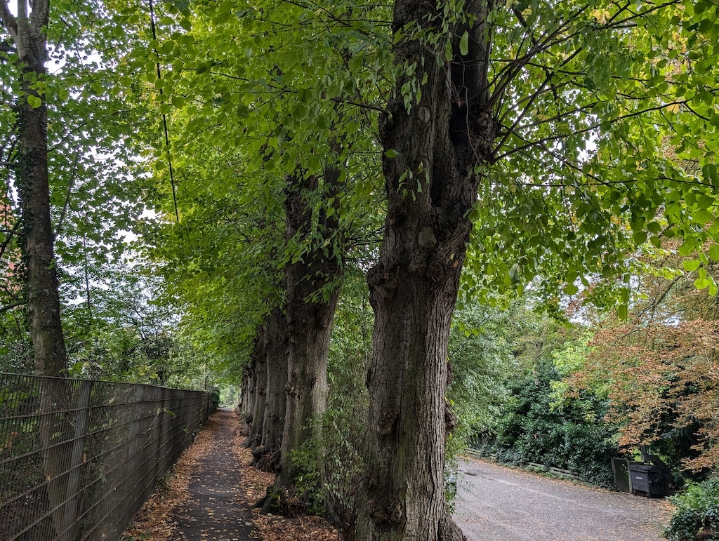 Der Büstenpark in Kaiserswerth