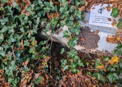 Kaiserswerth im Herbstlicht Foto: Gabriele Schreckenberg