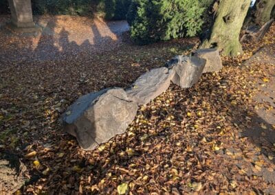 Kaiserswerth im Herbstlicht Foto: Gabriele Schreckenberg