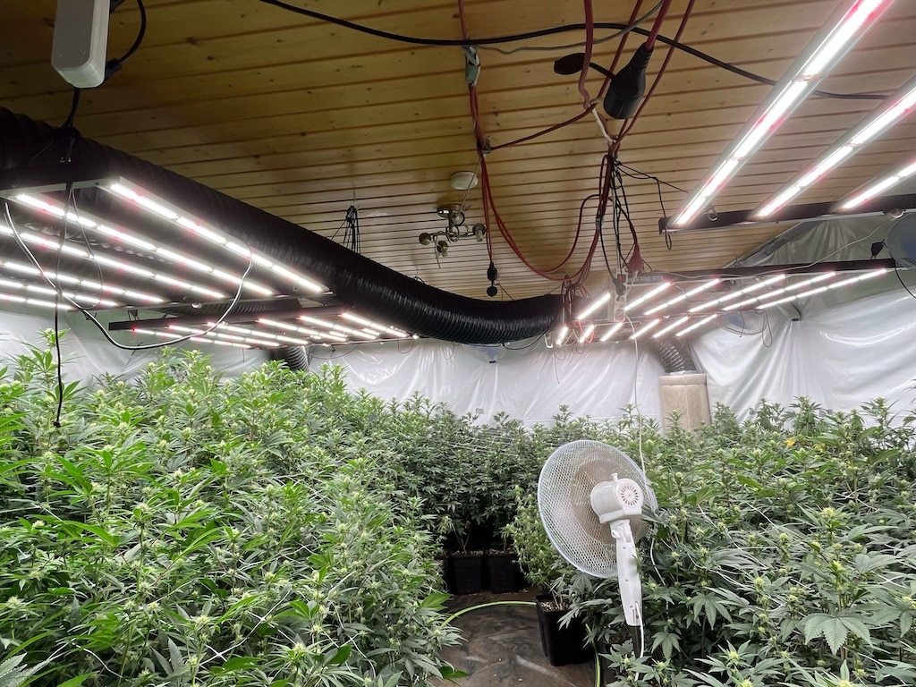 Polizei zerschlägt Drogennetzwerk in NRW – Pizzeria als Umschlagplatz genutzt