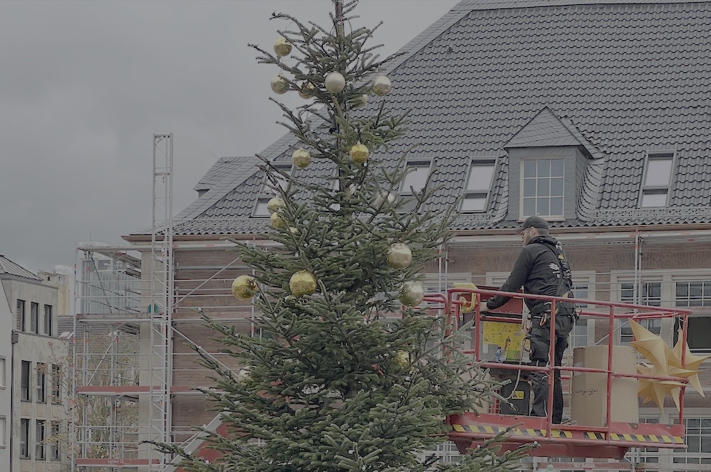 Festliche Tannenbäume zaubern vorweihnachtliche Stimmung in Düsseldorf