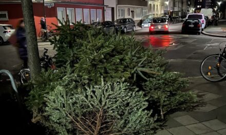 Weihnachtsbaum-Sammlung 2025 in Düsseldorf: Alle Termine und Hinweise