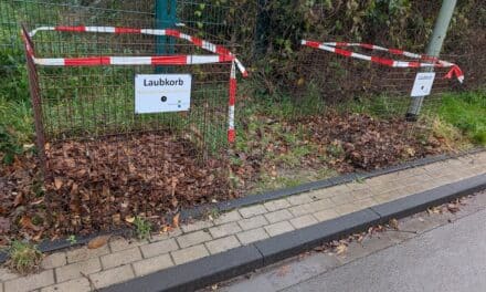 Blätterwald im&nbsp;Korb