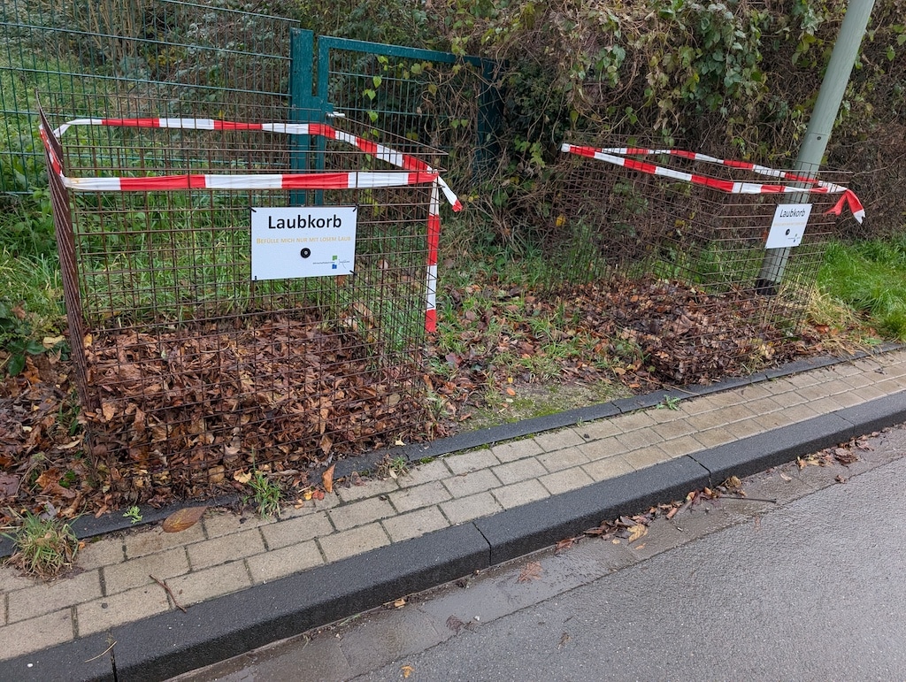 Blätterwald im Korb