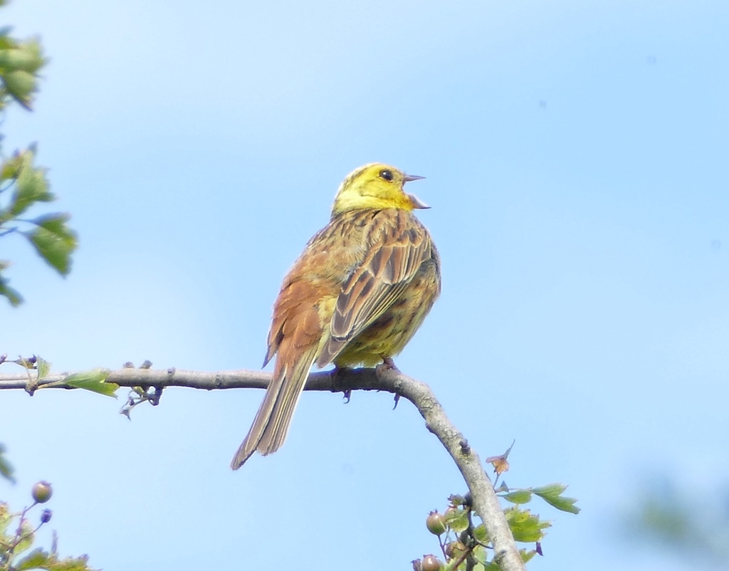 Wasserschutzgebiet Lörick wird neu festgesetzt