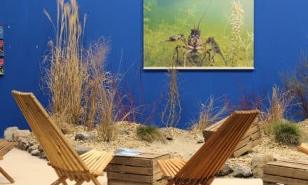 Aquazoo Löbbecke Museum auf der boot&nbsp;2025