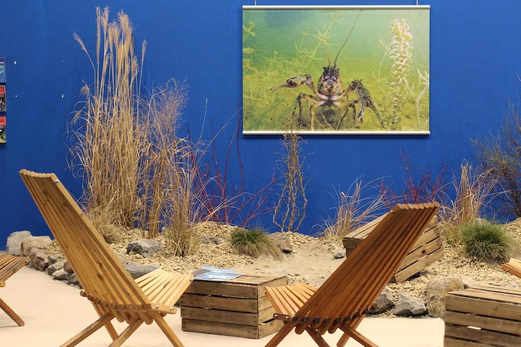 Aquazoo Löbbecke Museum auf der boot 2025