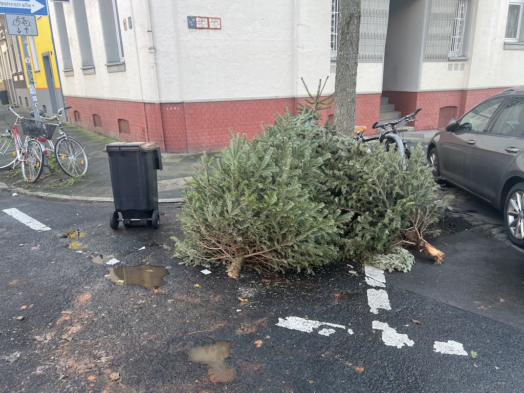 Weihnachtsbäume vorzeitig am Straßenrand: AWISTA mahnt zur Einhaltung der Abholtermine