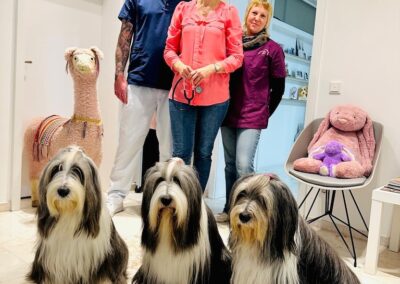 Tierarztpraxis Kerstin Mennemeier in Kaiserswerth