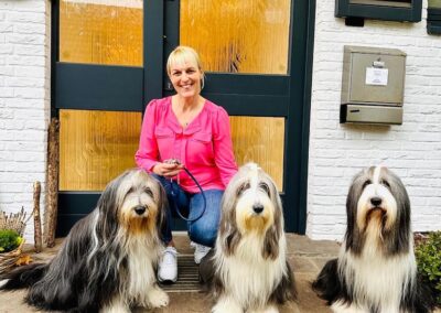 Tierarztpraxis Kerstin Mennemeier in Kaiserswerth