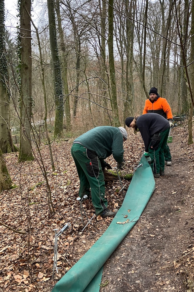 Um die bedrohten Tiere zu schützen, stellt die Stadt entlang der wichtigsten Wanderrouten und an Straßen Hinweisschilder und Schutzzäune für Kröten, Frösche und Molche auf, damit diese auf ihrem Weg zu den Laichgewässern nicht überfahren werden,(c)Landeshauptstadt Düsseldorf/Gartenamt Um die bedrohten Tiere zu schützen, stellt die Stadt entlang der wichtigsten Wanderrouten und an Straßen Hinweisschilder und Schutzzäune für Kröten, Frösche und Molche auf, damit diese auf ihrem Weg zu den Laichgewässern nicht überfahren werden,(c)Landeshauptstadt Düsseldorf/Gartenamt