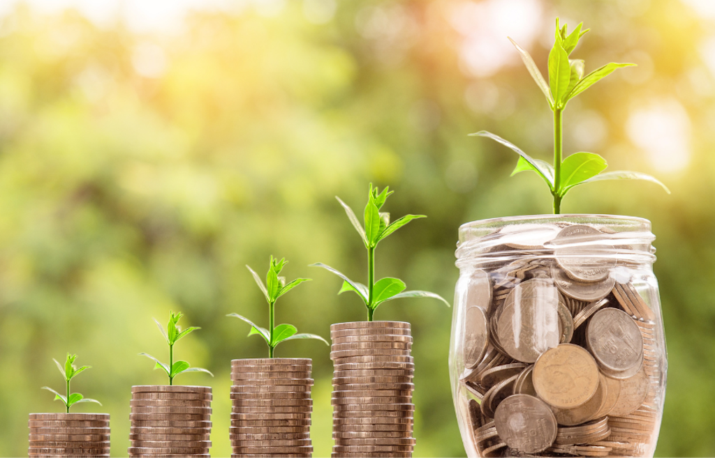 Sparen durch Selbstversorgung: Miet-Gemüsegärten in Düsseldorf entlasten das Budget