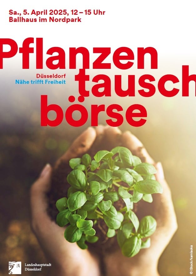 Saatgut, Stauden, Ableger und jede Menge Garten-Tipps