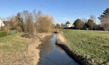 Öffentliche Gewässerschau am Kittelbach
