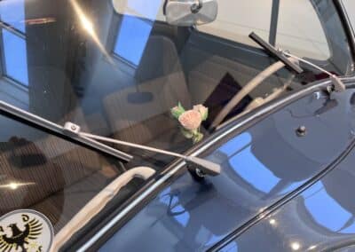 Palastblüten © LB / Manfred Fammler